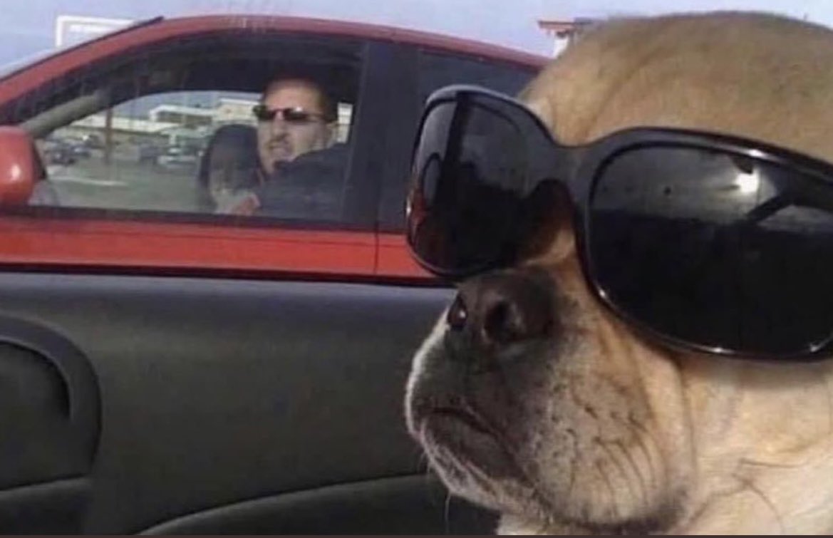 me ignoring the car next to me after almost crashing into it..