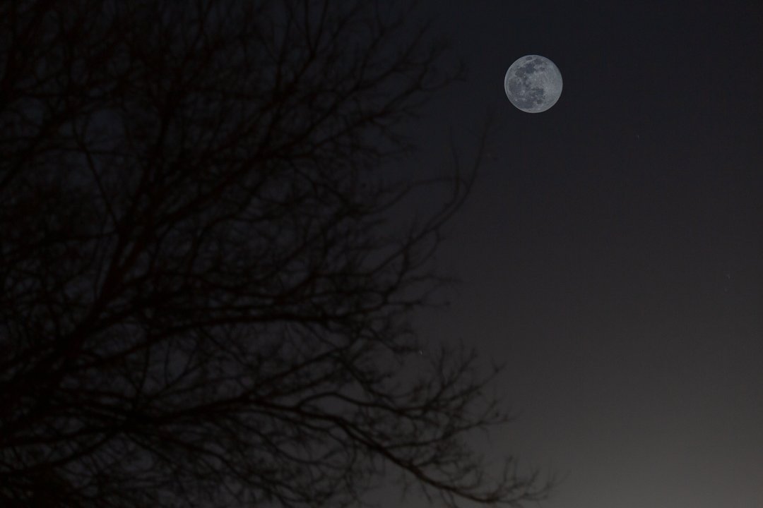 Full moon attempts - The Snow Moon
-Canon 5DMarkIII 
- Sigma 150-600mm