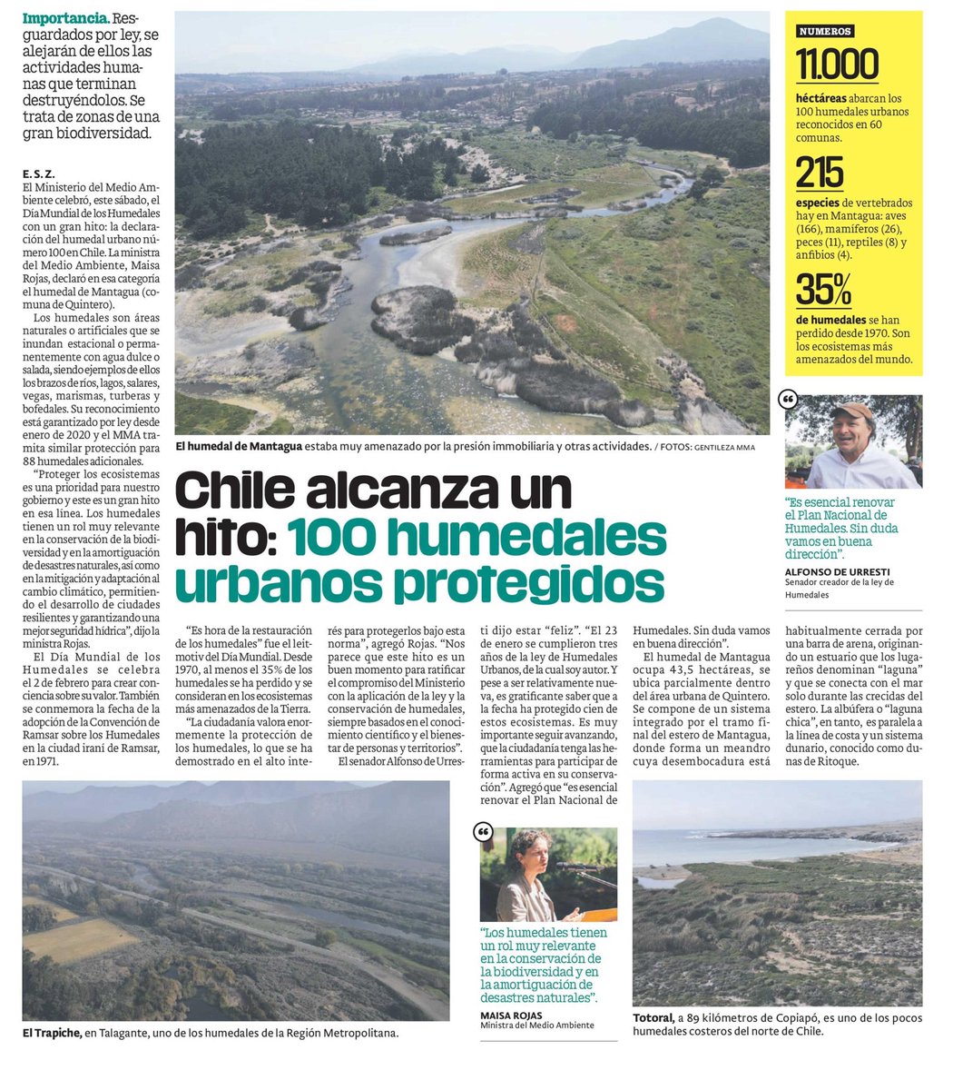 La semana pasada alcanzamos los 100 humedales urbanos declarados en nuestro país, protegiendo más de 11.000 hectáreas de estos importantes ecosistemas🌾🪺🌺

¿Quieres conocer su importancia?🤔
<a href="/PublimetroChile/">Publimetro</a> lo explica hoy en este artículo 👇