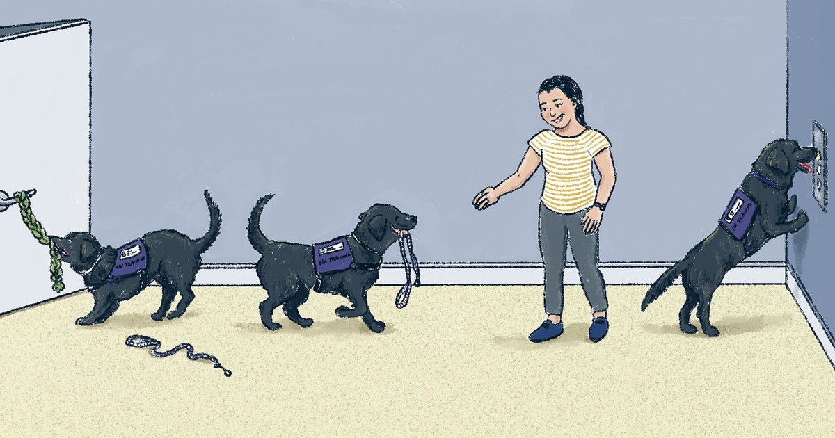 thenib's tweet image. Read @yifizzle in our WORK issue on how and why we give man&apos;s best friend a job: thenib.com/working-like-a…