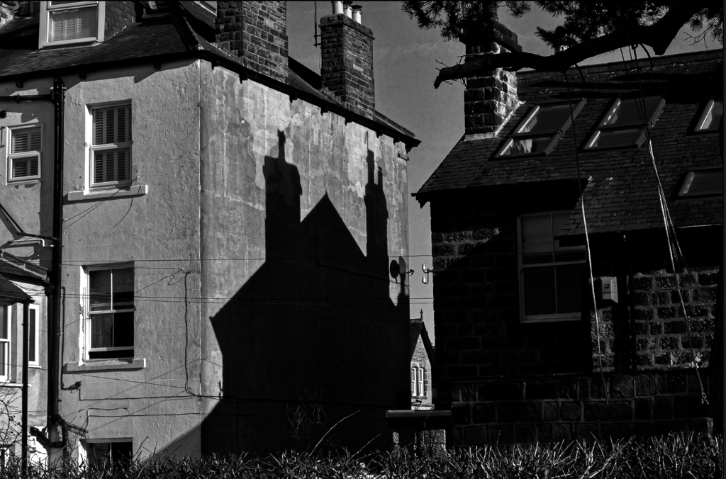 Helen Williams tweet media