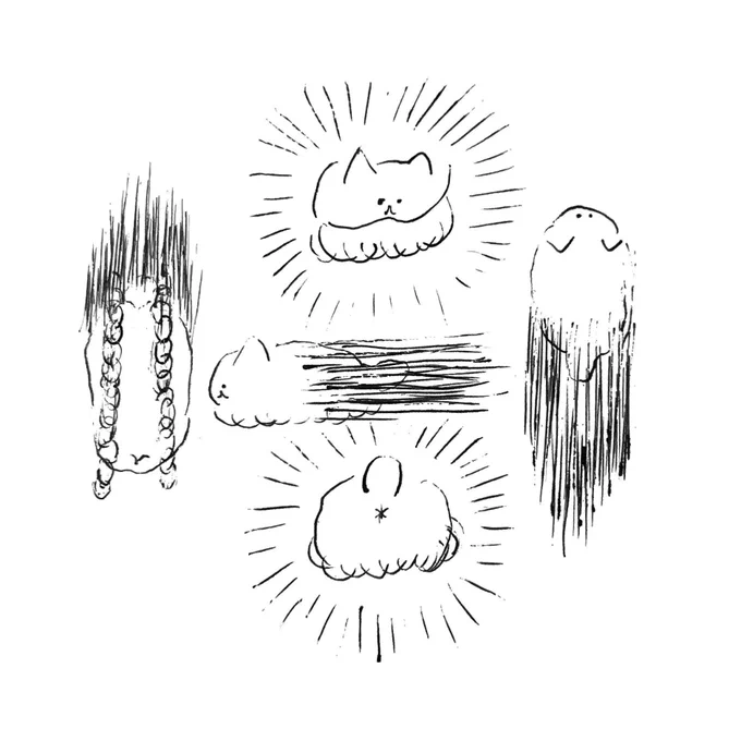 ねこ 