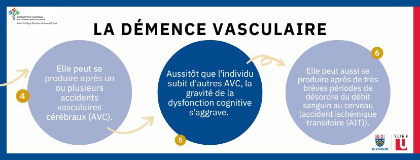 Le saviez-vous ? La démence vasculaire est le troisième type de démence le plus commun. 

#démencevasculaire #Glendon #YorkU #CNFS #santé #démence #vasculaire #éducation #psychologie #infograph #information #sante #santementale #mentalhealth #education