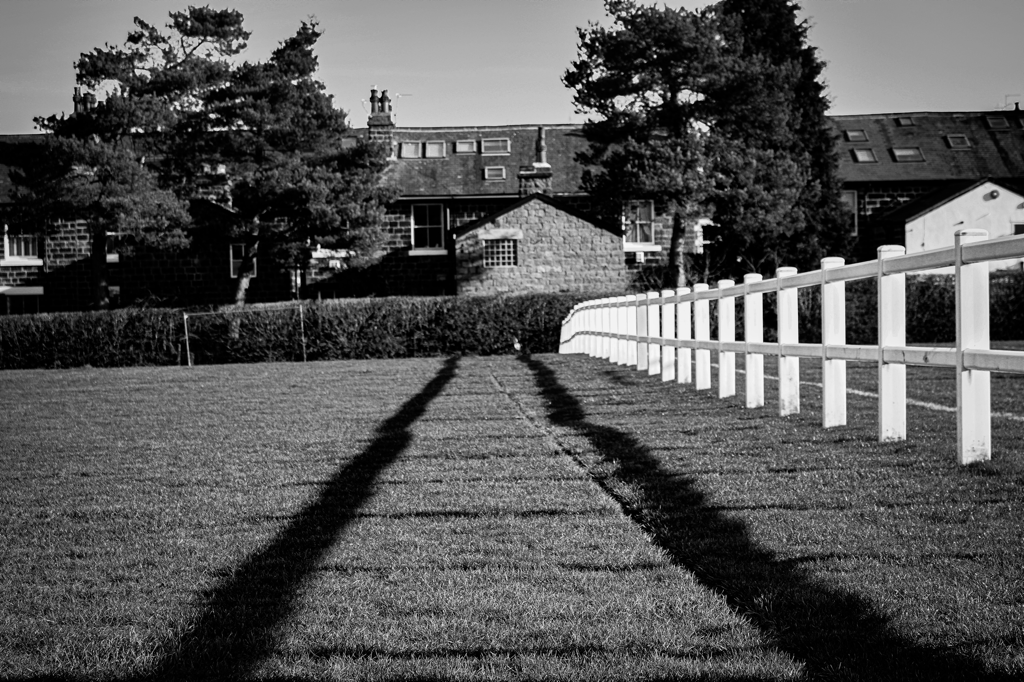 Helen Williams tweet media