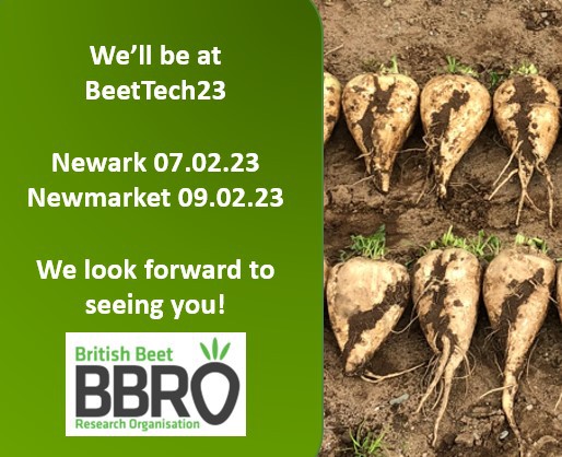 SyngentaUK's tweet photo. Visit us at #BeetTech23 to find out how:
#Quantis #syngentabiostimulant can protect your crop against heat stress. 🌞
#PrioriGold offers disease control and built-in resistance management. 🧬 https://t.co/4vCbvRlmKg