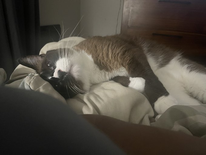 Watch O.H.D.O.F.F.'s leaked NSFW photo on TwXstars