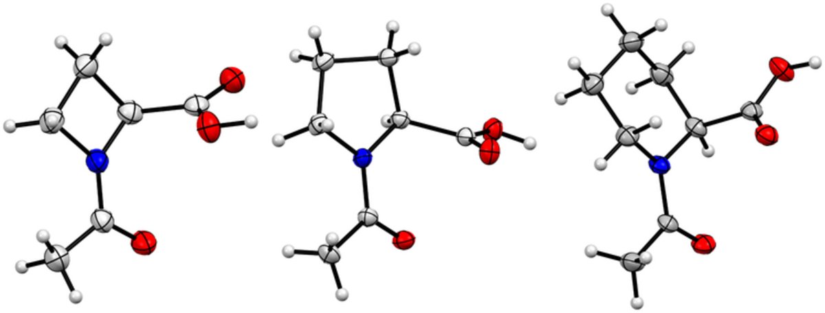 TobiasSchnitzer's tweet photo. Interested in cyclic amino acids?
Check out our recent publication „Crystal structure analysis of N-acetylated proline and ring size analogs“ that was published in the Journal of Peptide Science @WileyVCH @EurPepSoc.
https://t.co/9VDteMUUaM

Big thanks to Lisa, Nils and Helma! https://t.co/Apq1uk2kCq