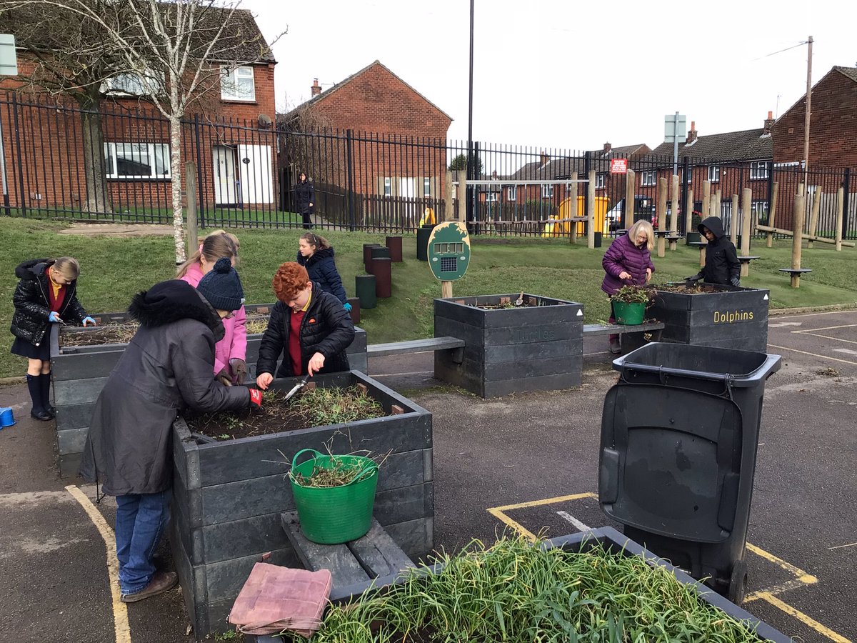 Busy tiding the beds in the infant yard this lunchtime at #gardeningclub @StJamesYear6 @StJamesChorley @dustymears @medwynsofangles We are planning on sowing these with hardy annuals this year @higgledygarden @TheFlowerFarmer