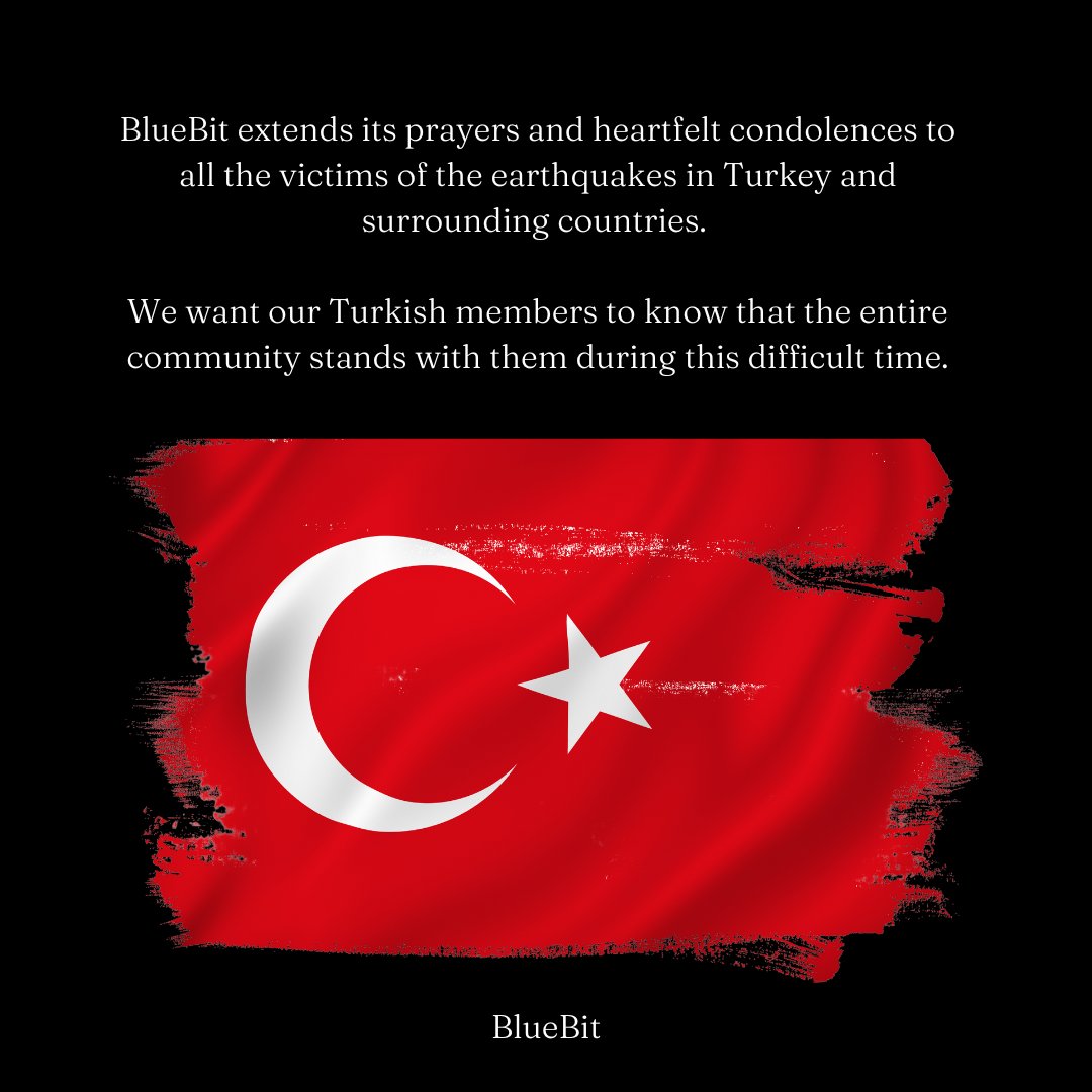 BlueBit.io tweet media