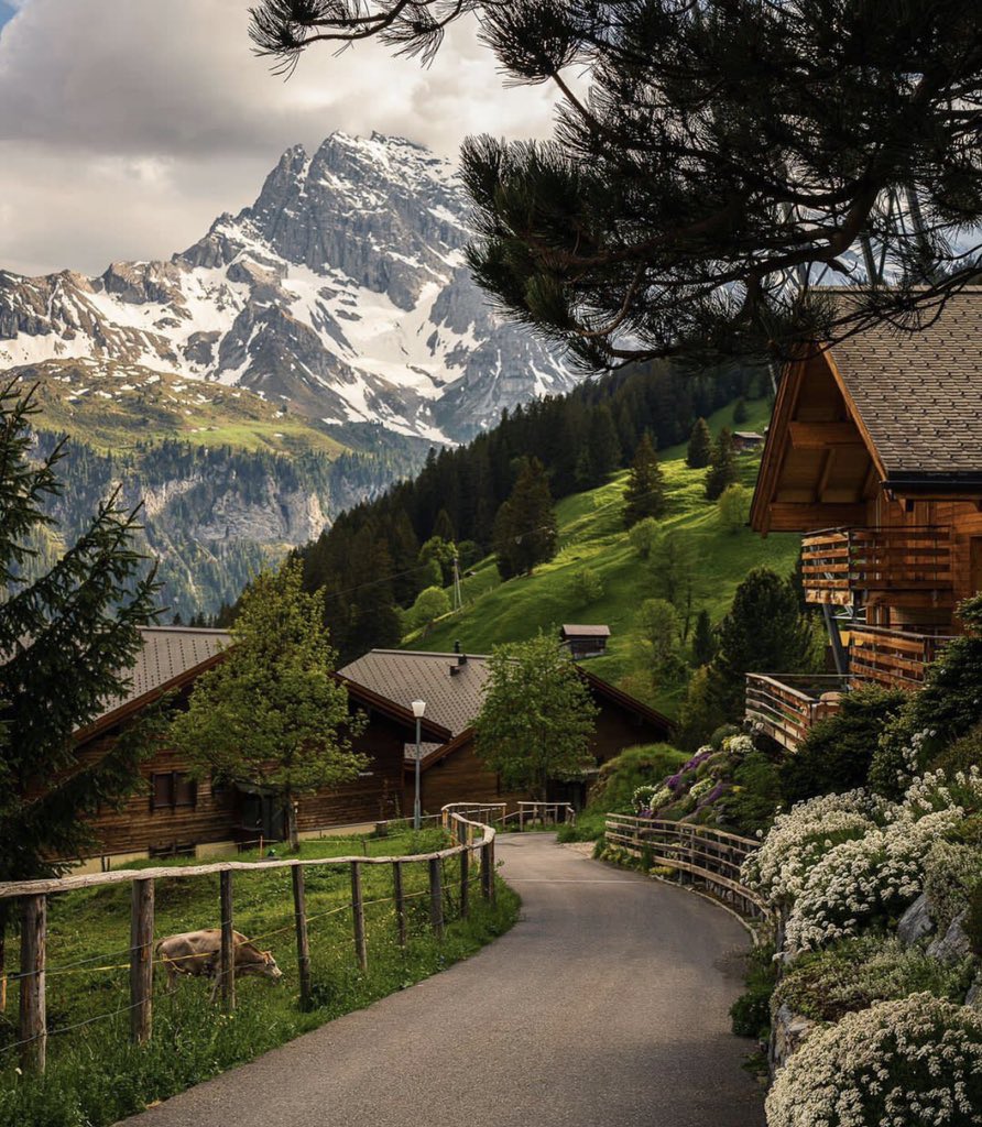 Switzerland 🇨🇭