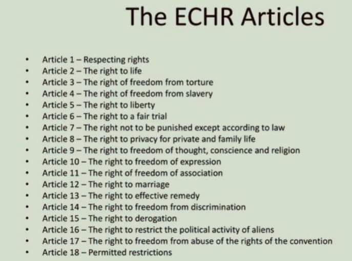 @TalkTV @JuliaHB1 @Steven_Woolfe He is not a migration expert
He is an ex UKIP candidate
He shows no regard for the rights every single person in the UK loses by ECHR withdrawl