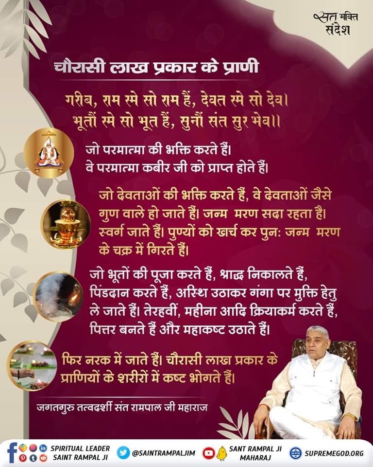Archana_dasi_B's tweet photo. चौरासी लाख प्रकार के प्राणी.... https://t.co/9AWQc0nABW