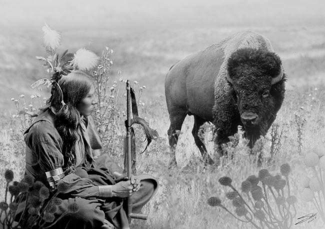 Native Americans tweet media