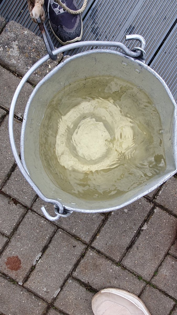 S08M0623 14:05 3,2°C SAL 0,1