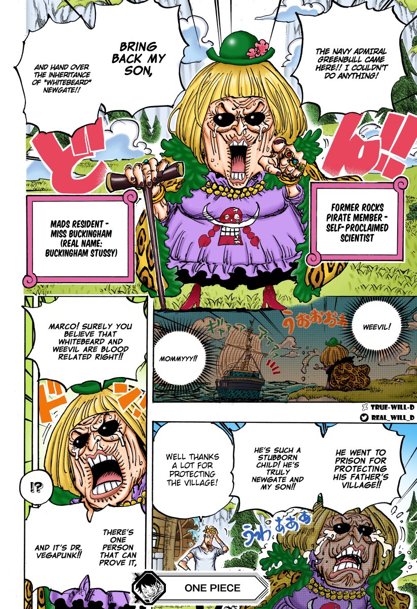 Miss Buckingham Stussy 🌺 Coloring from One Piece Chapter 1073