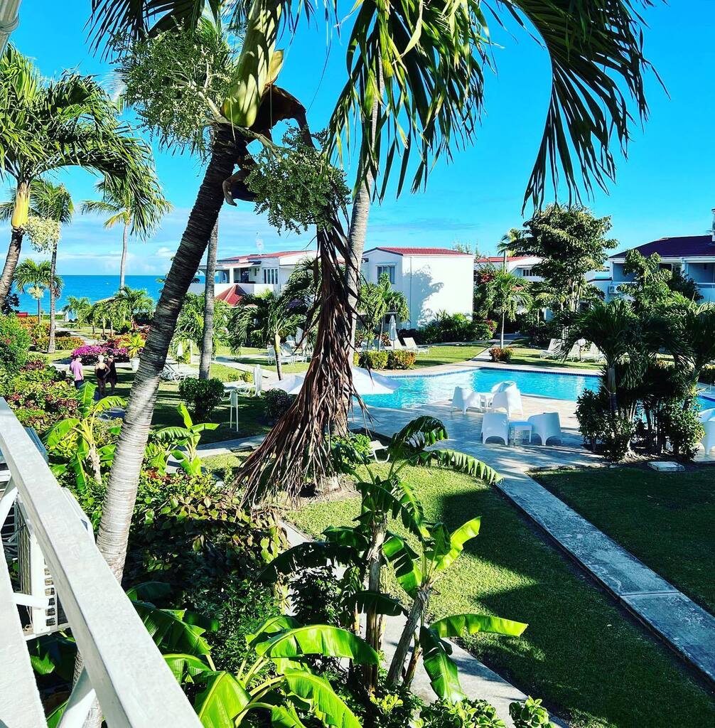 Oh good morning, paradise 🏖️☀️ (the calm after the storm of air travel and our first Antigua rental car experience🤪) <a href="/antiguavillage/">Antigua Village</a>