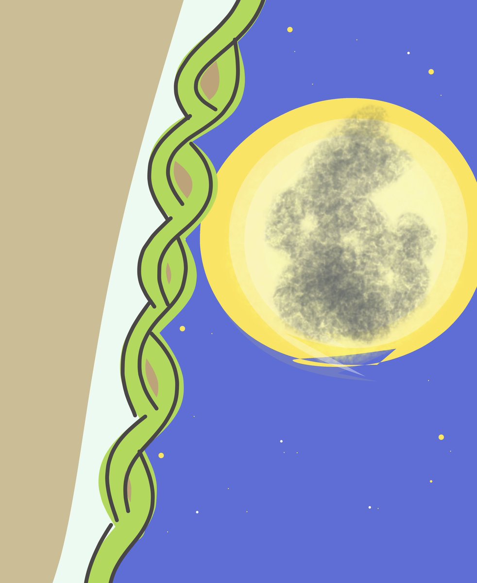i_ppitsu's tweet photo. Snow Moon
 満月

#moon #SnowMoon #popart #doodle
#onelinedrawing #drawing #dijgtalart
#デジタルアート #ドローイング #イラスト https://t.co/vhPhWtl4BQ