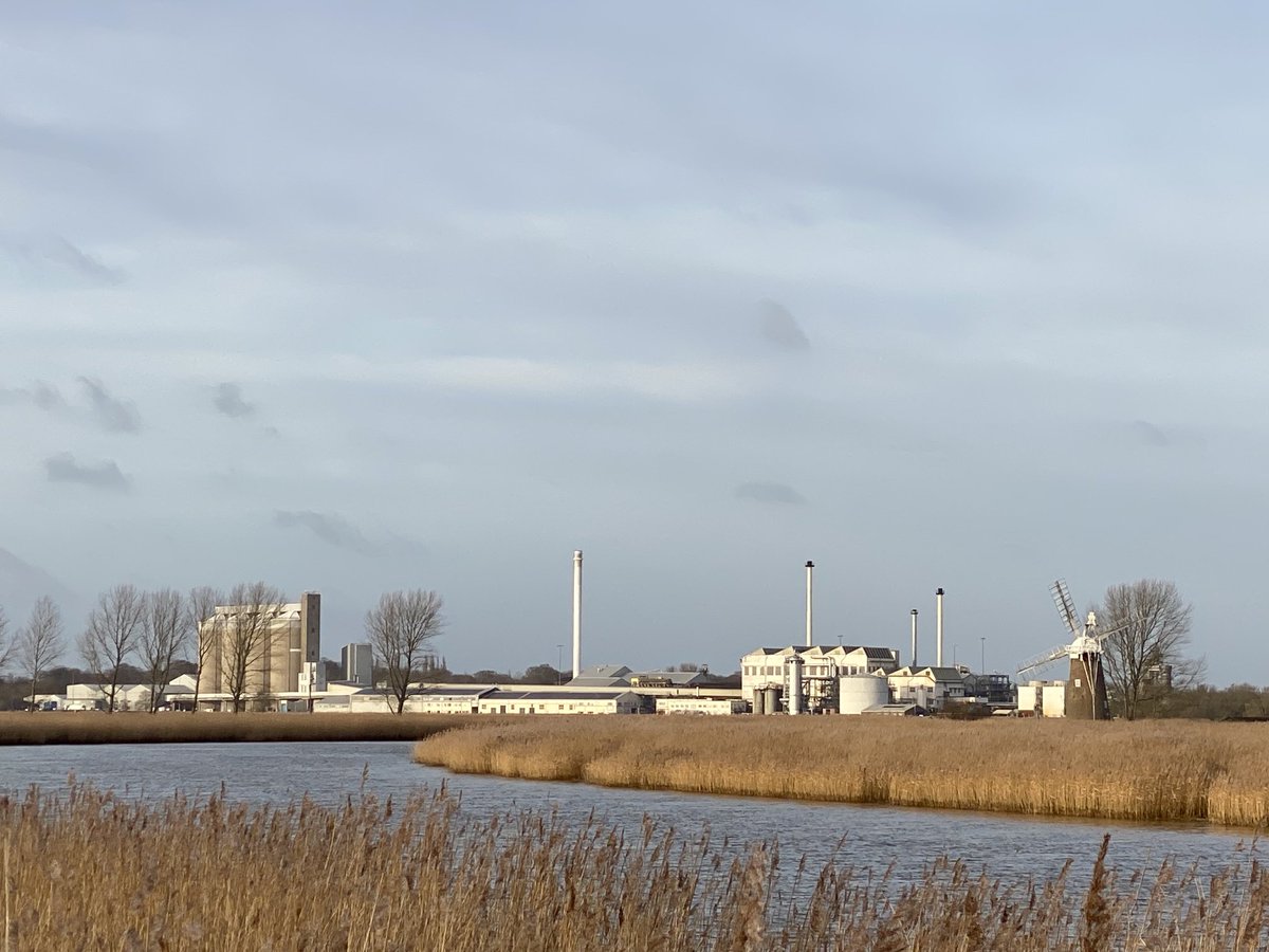 Cantley sugar beet factory with Hardley Mill yesterday.
#Norfolk #photography #windmill #riveryare #cantley