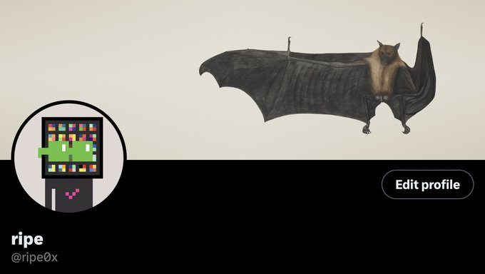 it's tough to choose my favorite noun check. but this one feels right rn. going with it.