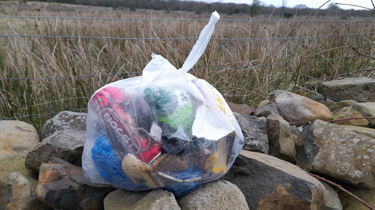 Small bag of #litter collected on a walk around Drumlamph Nature Reserve, Maghera. It included 5 dog poo bags lifted from the path and one rescued from a tree 💩 🌳 #BagItBinIt #liveherelovehere @MidUlster_DC @isupportlhlh @KeepNIBeautiful