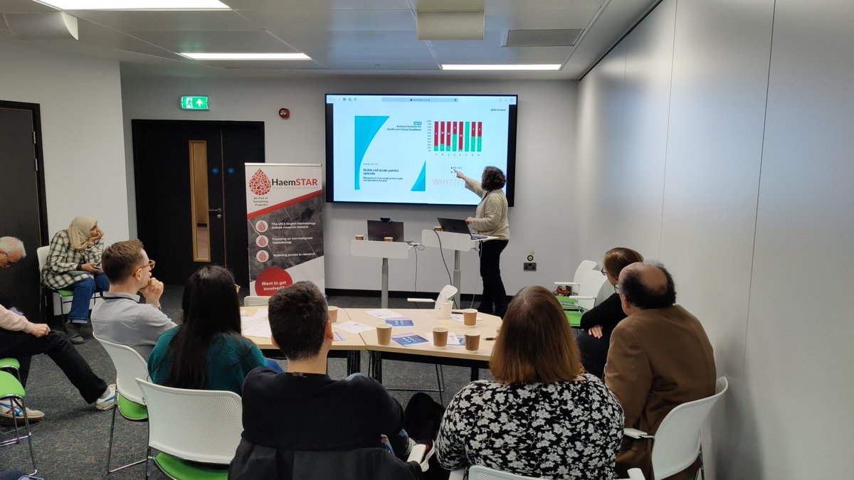 HaemSTAR_UK's tweet photo. Noรฉmi Roy giving an absolutely brilliant talk on pain in sickle cell disease. Not your average lecture. Insightful, provocative, surprising. #HaemSTARUpdate https://t.co/8B3anCG6ns