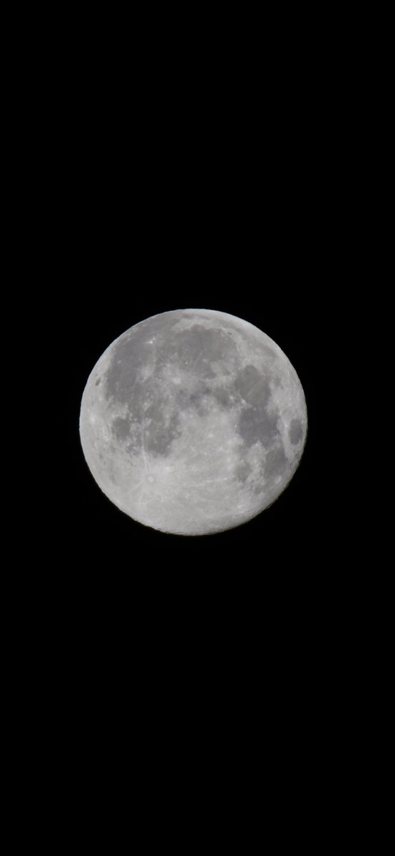Ref8172's tweet photo. Beautiful Snow Moon this am off my balcony downtown Ottawa. https://t.co/HGp2X6k0MG