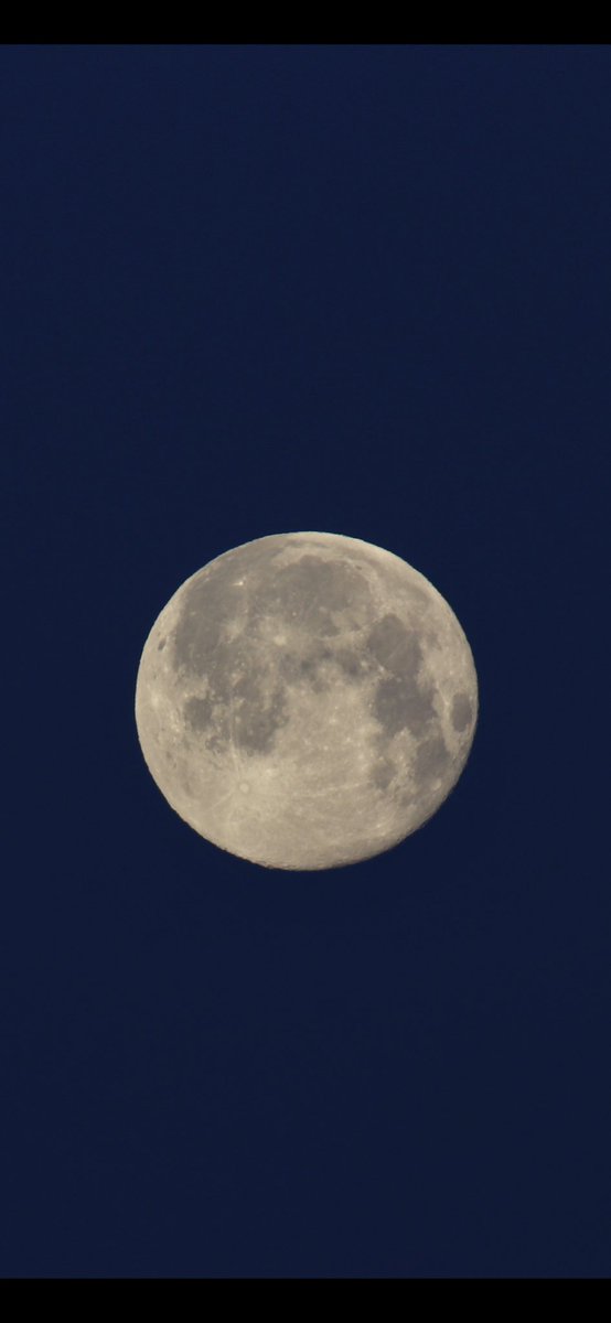 Ref8172's tweet photo. Beautiful Snow Moon this am off my balcony downtown Ottawa. https://t.co/HGp2X6k0MG