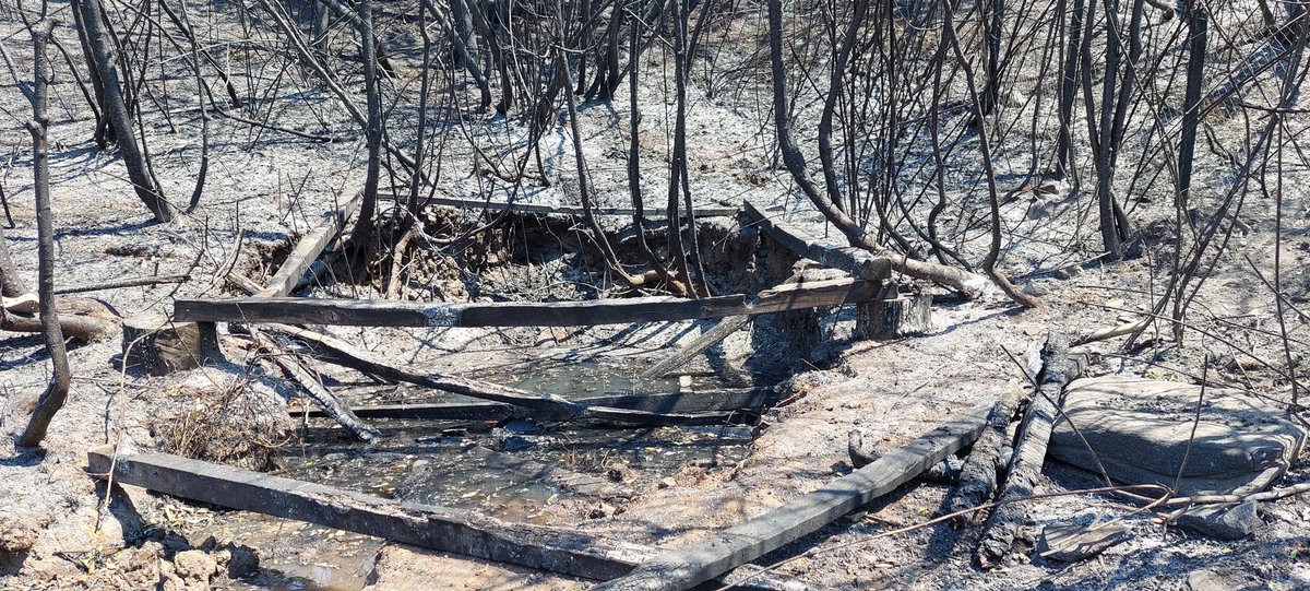 Un fardo hoy está alrededor de $5.000 (antes costaba la mitad) si puede ayudar con al menos uno ya es harto para gente que lo perdió todo 😪💔
Porfavor coopere, su RT también ayuda 🙏💚🌱
#IncendiosForestales 
#FueraLasForestales
