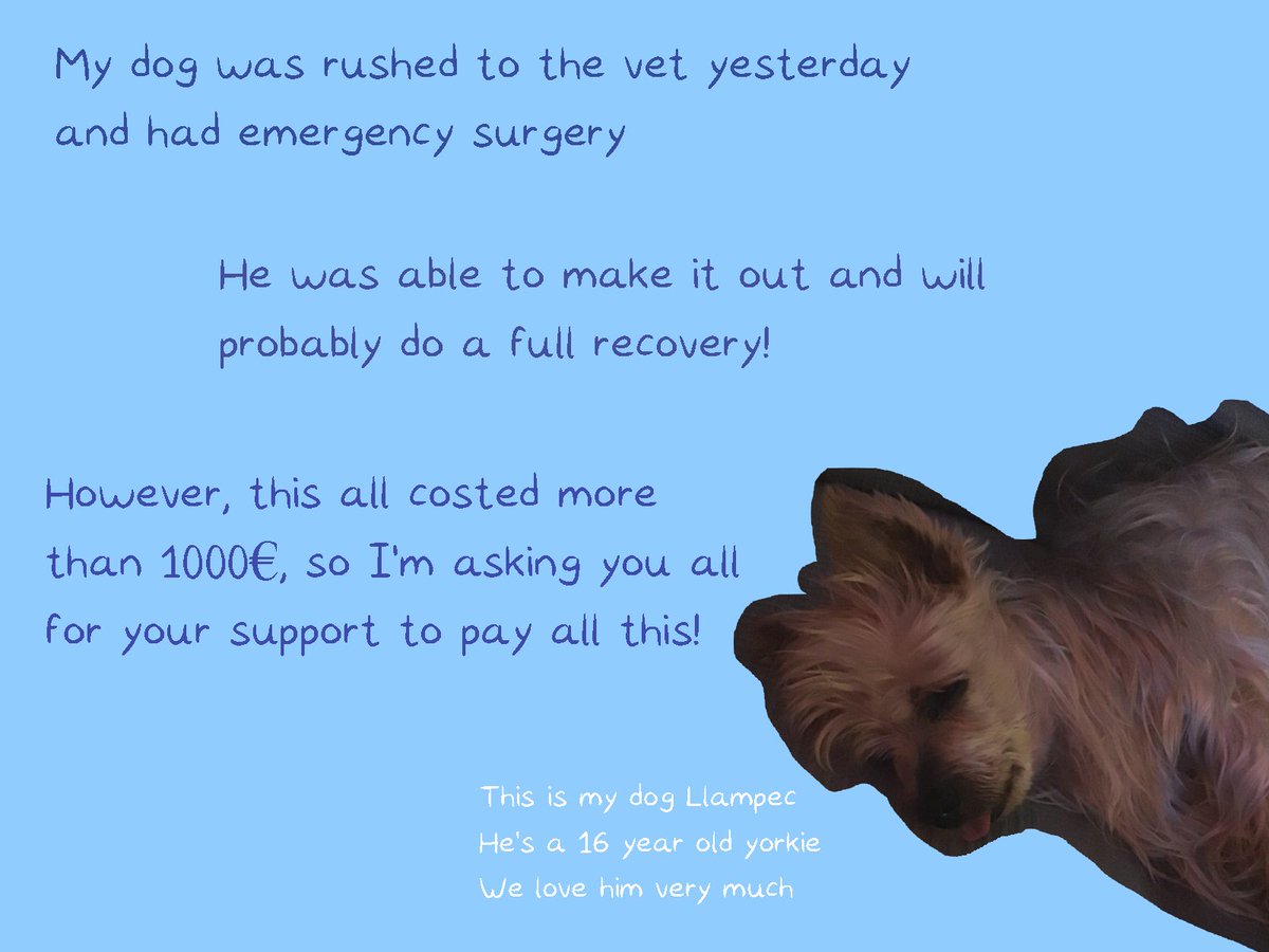 irenereruART's tweet photo. Yesterday my dog was rushed to the vet to get emergency surgery and now we have to pay 1000€ PROMO!

💌 DM for commissions info!
☕️ Ko-Fi for whatever you wanna pay commissions and Mystery Merch Packs!
💖 Redbubble for cool T-Shirt dessigns!

Please RT! Thanks!

Links below ⬇️ https://t.co/IJn13FQeFr
