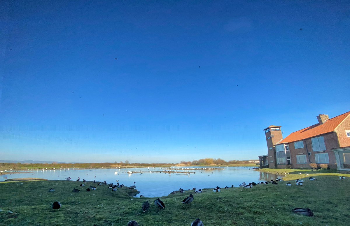 tuinz07's tweet photo. β¦still just about bearable π
#lunchtime #deskview @WWTworldwide @slimbridge_wild #couldgetusedtothis #arentwetlandsbrilliant? https://t.co/yPNMMHNWWe