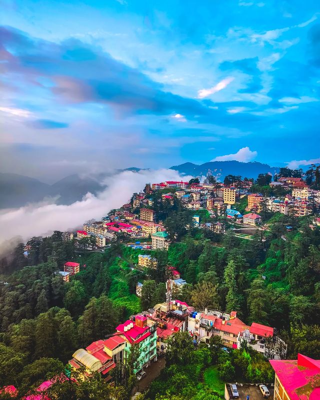 #शिमला घूमना होगा तो बता देना फ्री में घूमा दूंगी 😁✌️