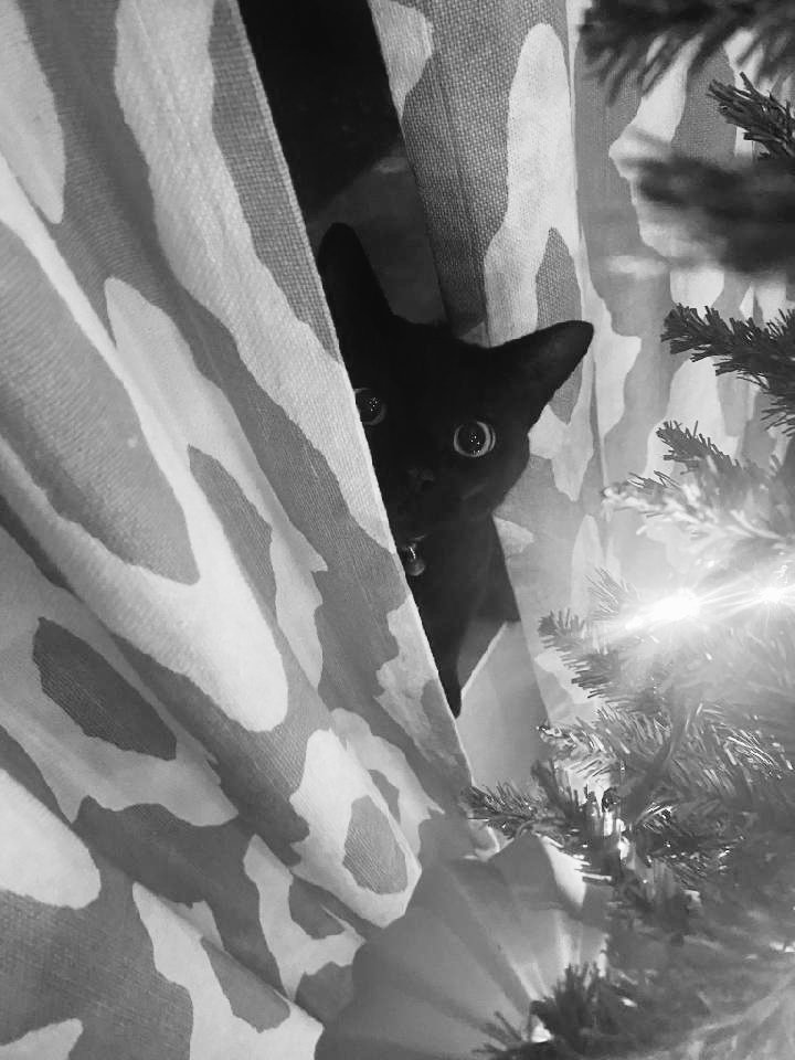 Velvet K.♡ (@velvettkaii) on Twitter photo 