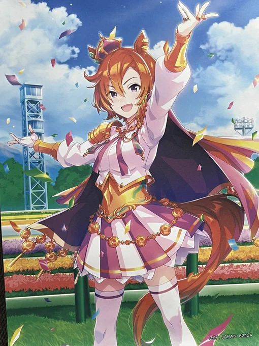 絵の描かれたデッケー布デッケーし嬉しくてお得じゃん!て買ってたら家の中布だらけになって参ってるどれもしまえないしこれから水星の魔女のティザービジュアルのやつもそのうち届く壁すき 