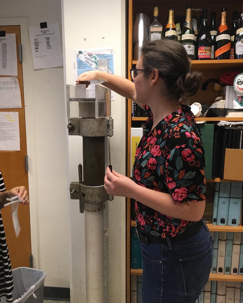 Streaming_Sci's tweet photo. Today’s #StreamingScience team member spotlight focuses on none other than Lexi Bolger (@globorotalexi)! Lexi has a BS in marine science (@SFFGS_UF) from UF but fell in love with paleontology and geology as an undergrad. (1/3) https://t.co/AlSbp4ZwKV