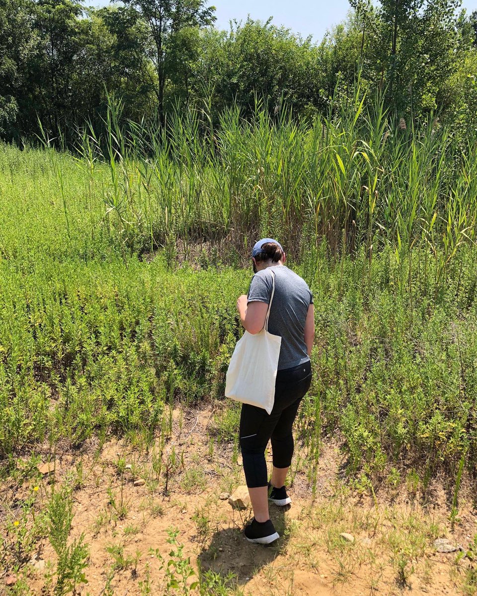 Streaming_Sci's tweet photo. Today’s #StreamingScience team member spotlight focuses on none other than Lexi Bolger (@globorotalexi)! Lexi has a BS in marine science (@SFFGS_UF) from UF but fell in love with paleontology and geology as an undergrad. (1/3) https://t.co/AlSbp4ZwKV