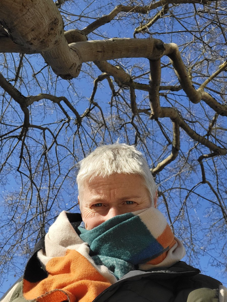 I think this spider bit me at 2a.m.
#blueskyhelps #childrensmentalhealthweek2023