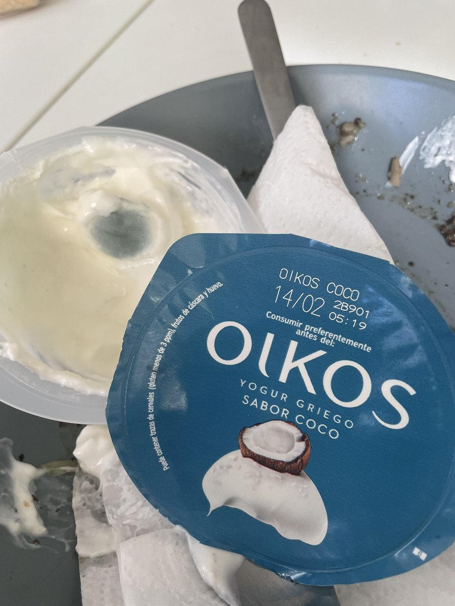 MartaCoconut's tweet photo. Llevarte una cuchara de yogur @danone_es toda la ilusión y notar un hongo. Abro hilo. #casipoto https://t.co/Twu6lTRbfE