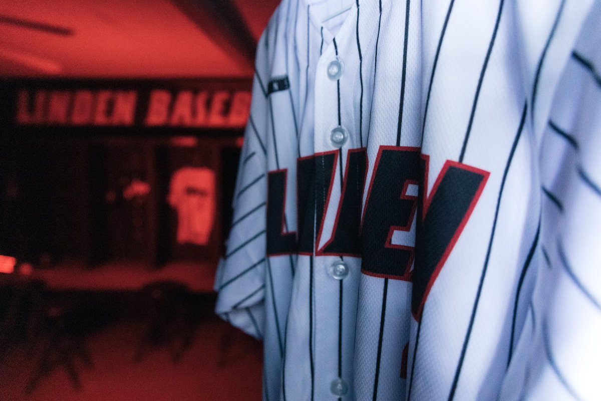 Linden Eagles Baseball tweet media