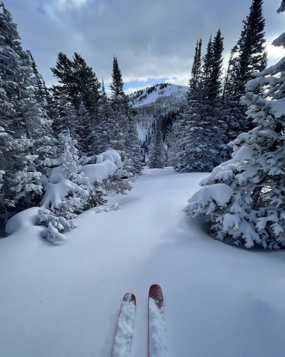 LuxurySki's tweet photo. Happy Monday, skiers! ⛷️

A new week means new skiing opportunities. Where are you planning on skiing this week?

📸: @deervalleyresort https://t.co/DfehIp3dih