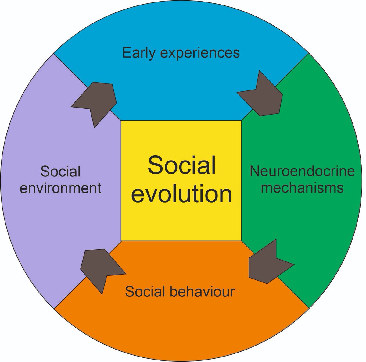 "The effects of early-social environments on behaviour, neurodevelopment 
and their potential consequences for social evolution"

Conveners- Stefan Fischer &amp; Diogo F. Antunes

For more details: shorturl.at/ruzGY