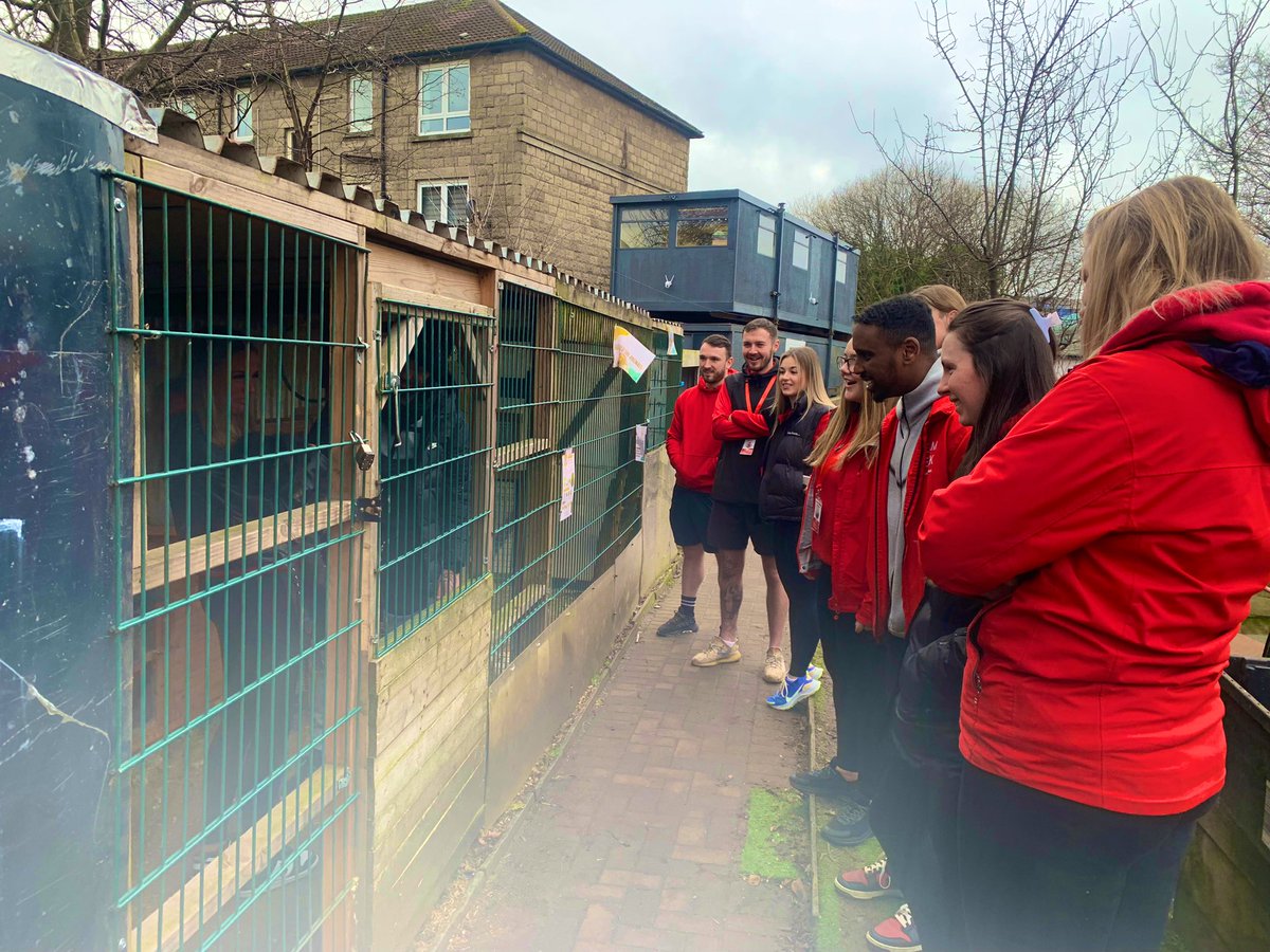 Vicky Fox tweet media