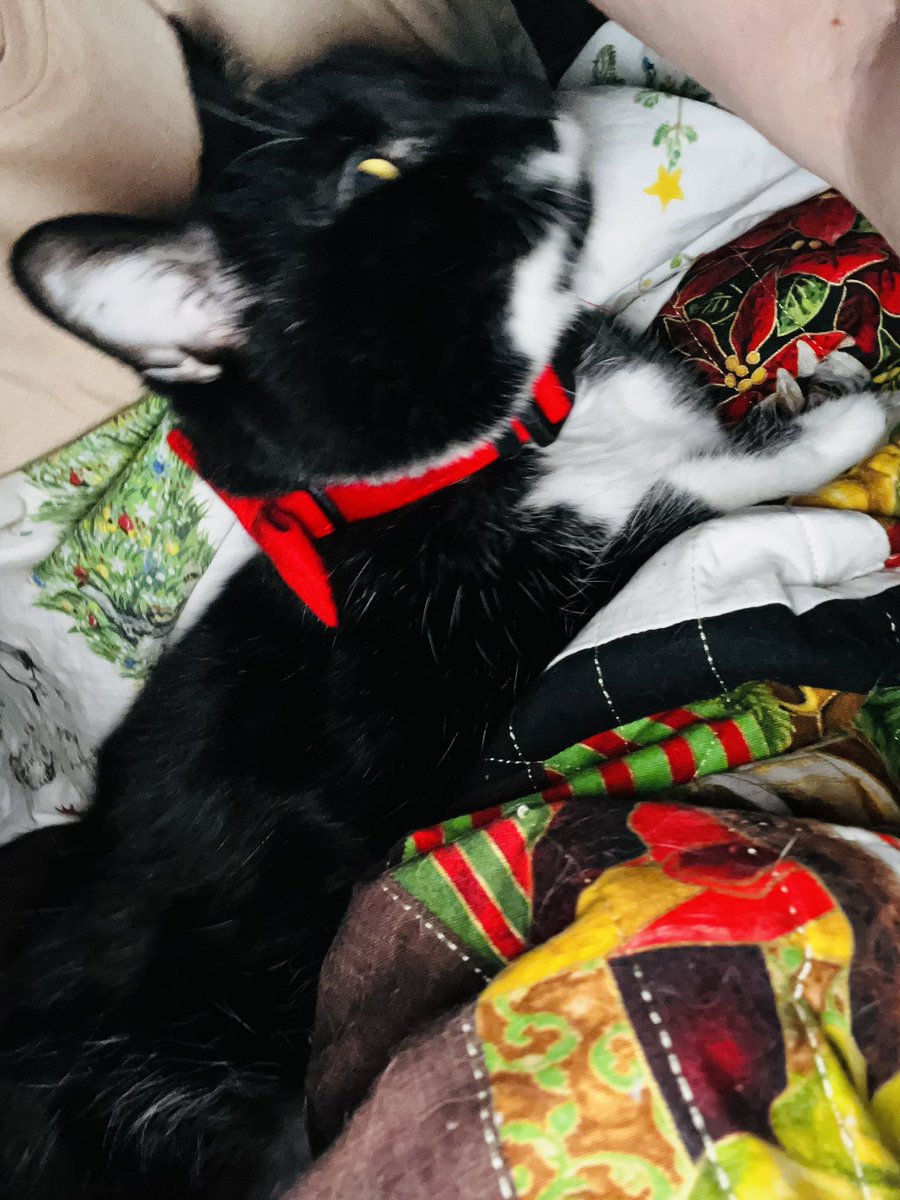 💓 Duchess of Hearts 💓 on Twitter ""Uh boss? I can't come to work today