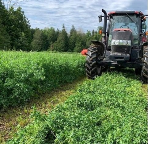 The OHFC is compiling a list of custom hay operators in the province of Ontario. See link.
onforagenetwork.ca/advert/custom-…