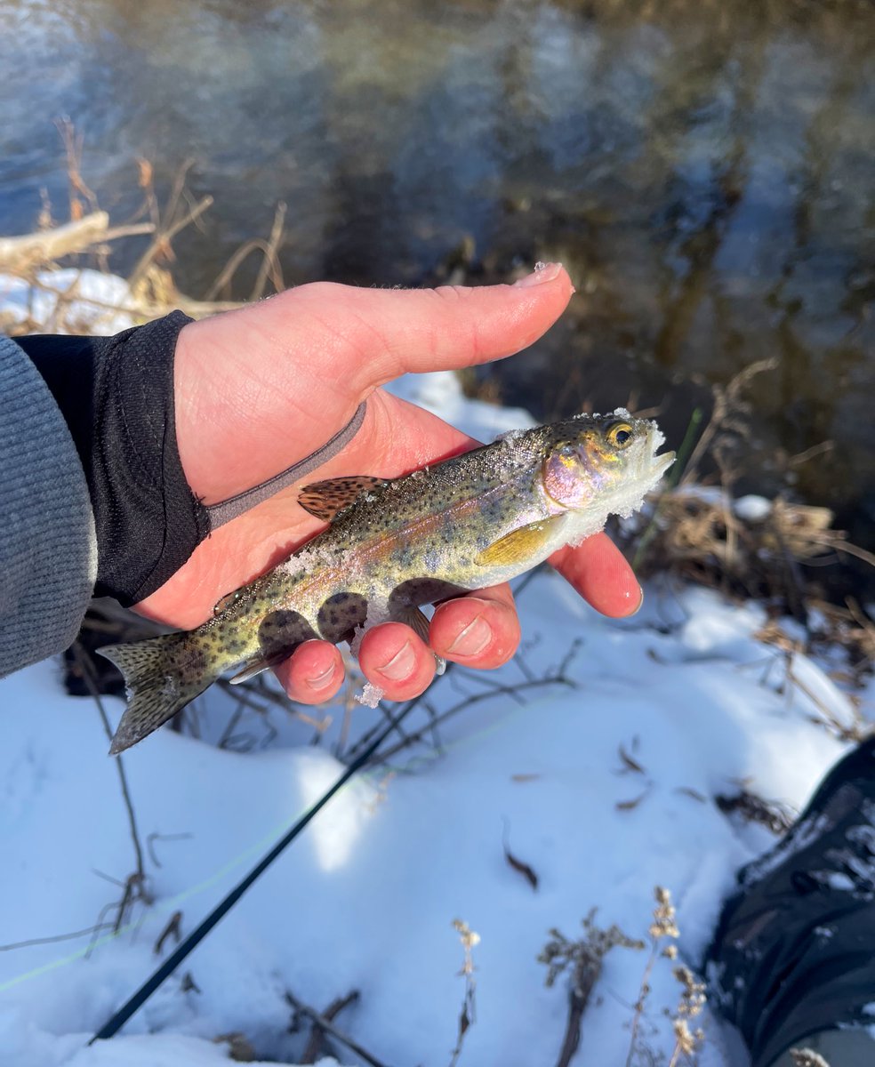 Cameron Stow on Twitter "Taking a day to disconnect from social media