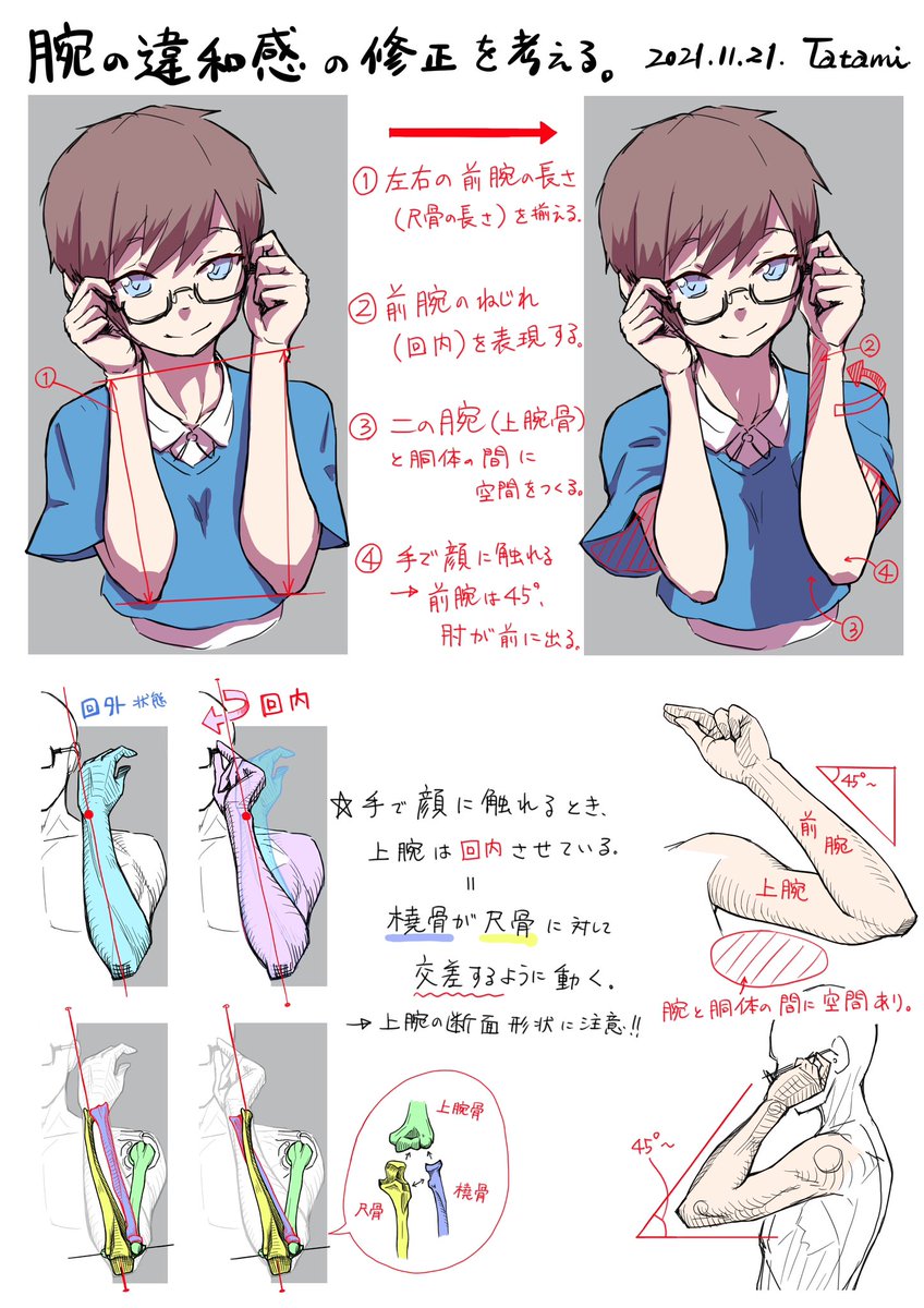 趣味で美術解剖学のスケッチを描くアカウントです。普段はゼネコンで建築設計をしています。 