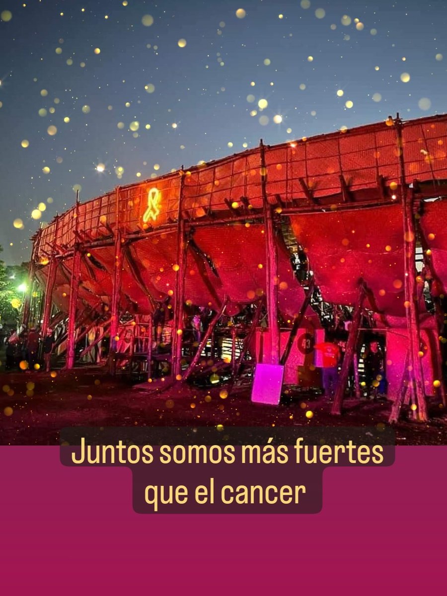 Lizet Rodríguez S. (@lizetrodriguezs) on Twitter photo 