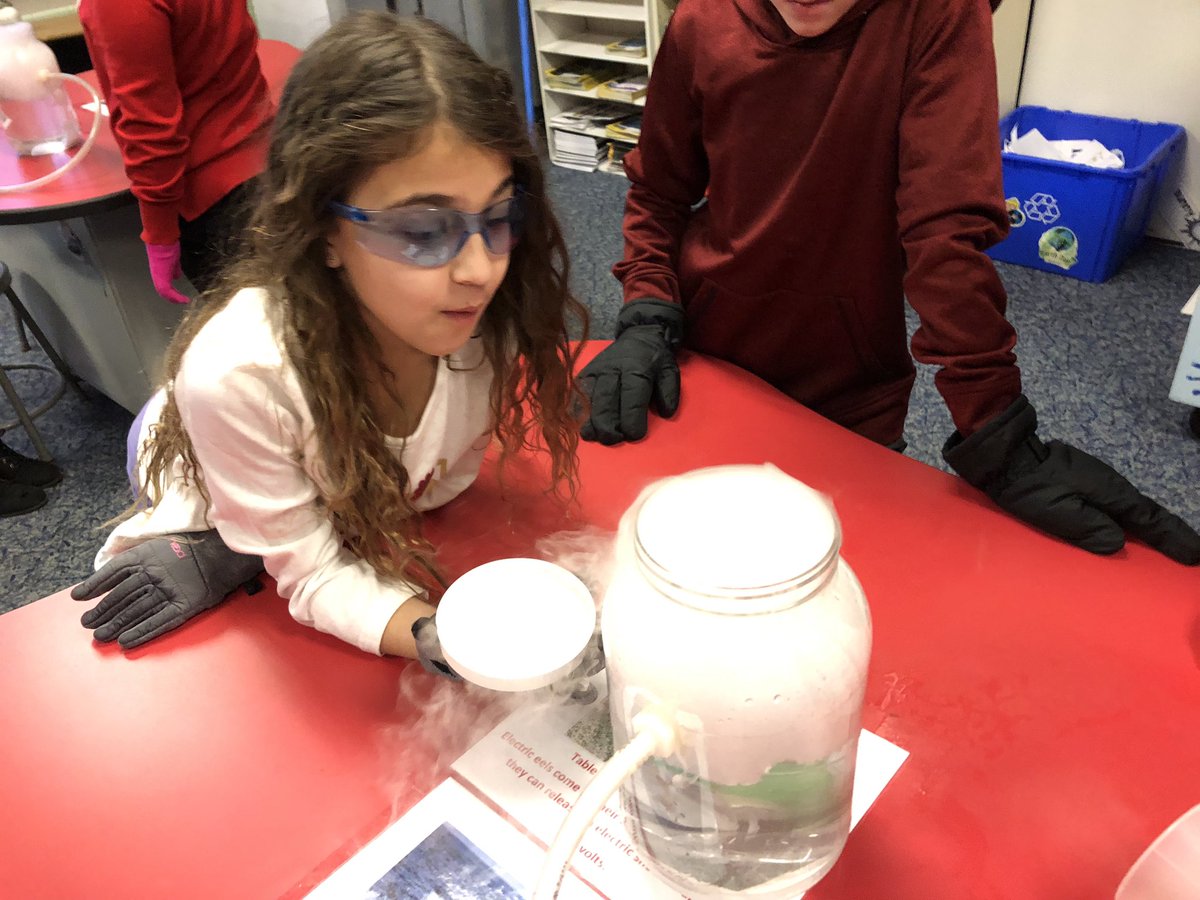 CurreyScience's tweet photo. Science Club excitement… https://t.co/wGhySscIZp