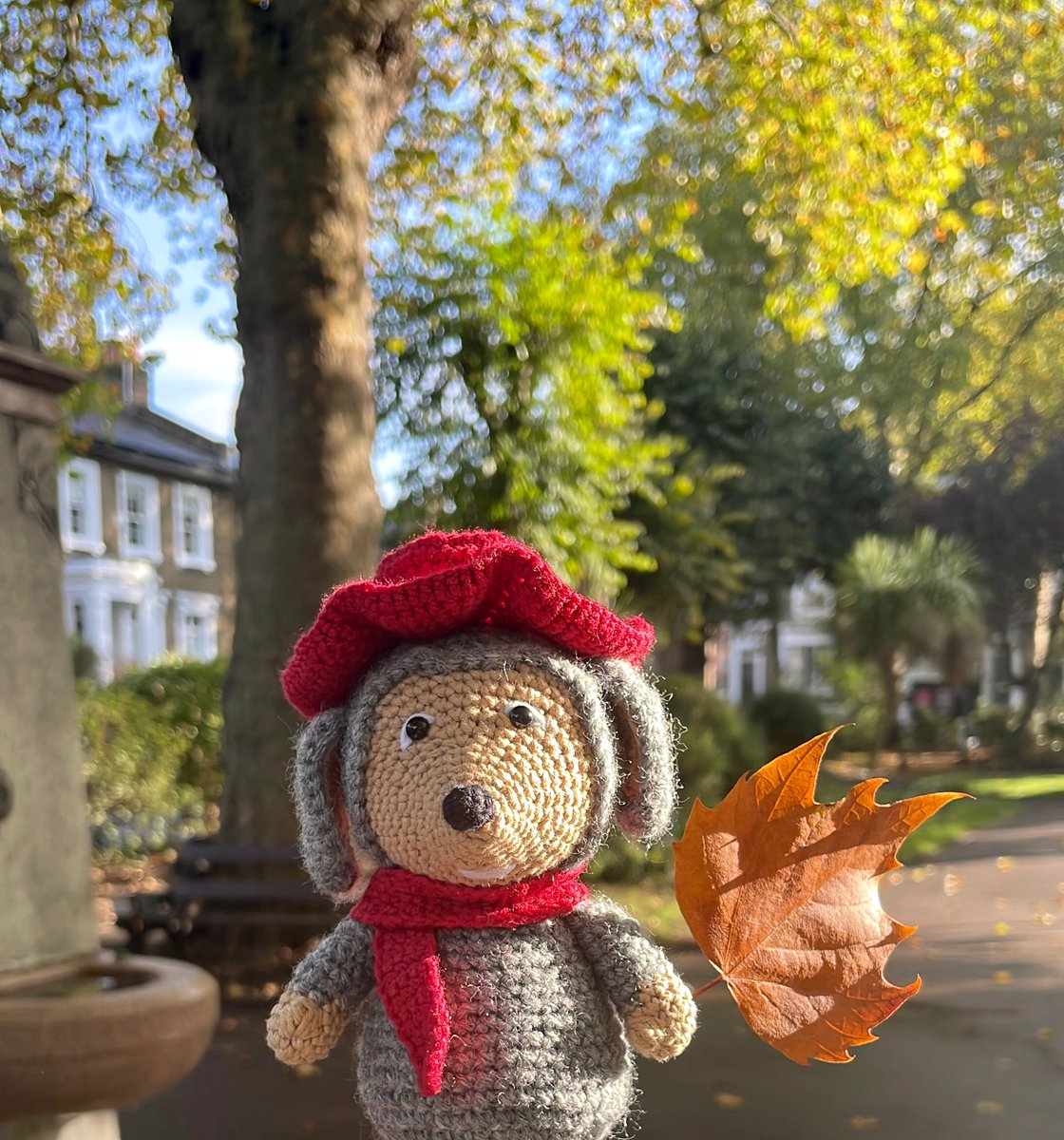 thewomblesworld's tweet photo. What a nice day to explore our green spaces! What's your favourite park? 🌿- Orinoco https://t.co/rCK5fWU5nu