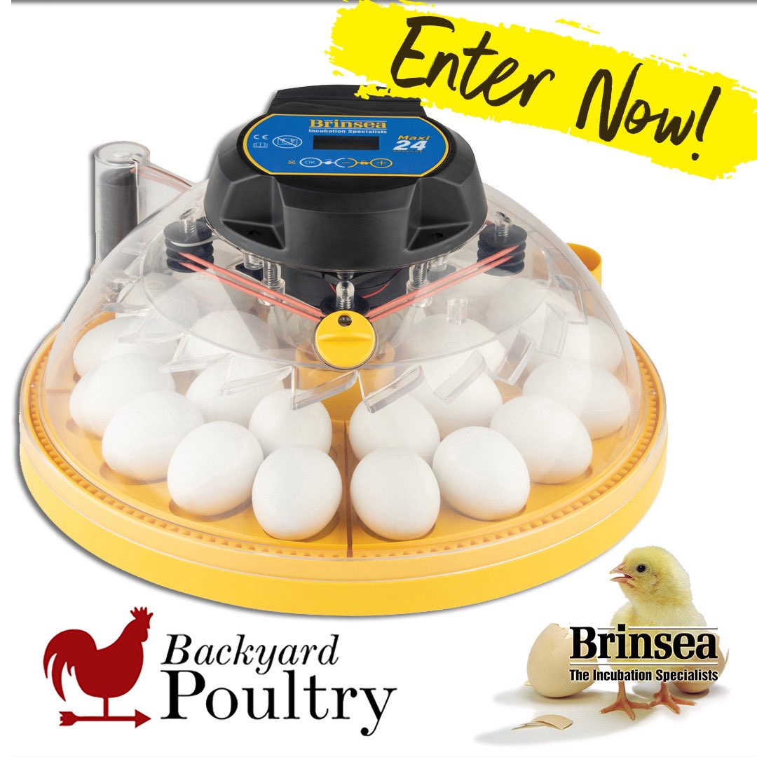 HealthyChickens's tweet photo. Incubator GIVEAWAY ALERT! Convenience and flexibility make the Maxi 24 Advance from @BrinseaUS the ideal incubator for any breeder. Enter for a chance to win this incubator valued at $350!

https://t.co/0XrjUaKnzS https://t.co/iKF0KsOlQP