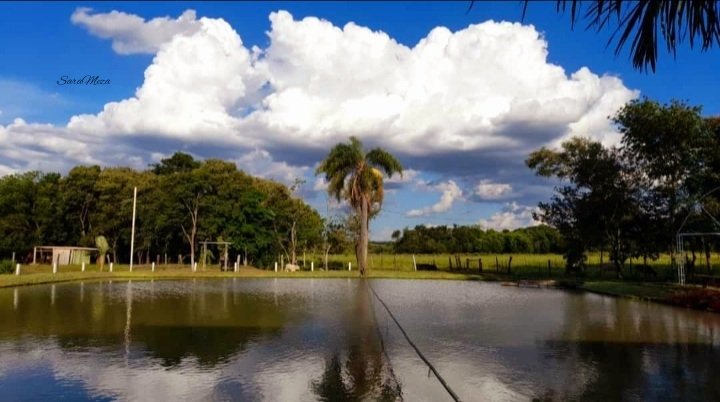 SaraNatMeza's tweet photo. Una vista para el descanso 🤩 https://t.co/ZiCqV3GSvH